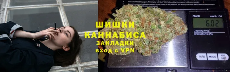 Конопля OG Kush  где найти наркотики  Отрадная 